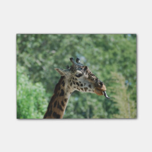 Giraffe met een lange tong post-it® notes