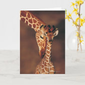 Giraffe met Kalf | camelopardalis Giraffa Kaart (Gele Bloem)