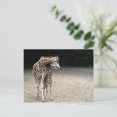 Giraffe met kind briefkaart (Staand voorkant)