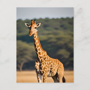 Giraffe met vaste tal briefkaart