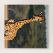 Giraffe met vaste tal legpuzzel (Horizontaal)