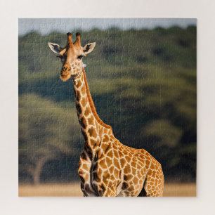 Giraffe met vaste tal legpuzzel