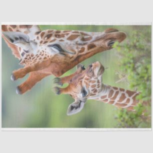 Giraffe Moeder Baby Grazing Decoupage Tissuepapier