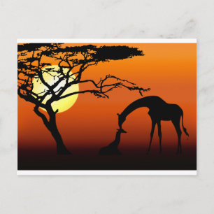 Giraffe moeder en Baby in de Afrikaanse zonsonderg Briefkaart