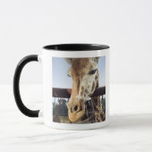 Giraffe Mok (Links)