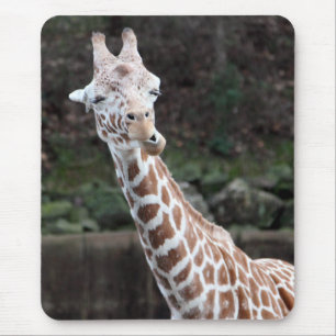 Giraffe Muismat