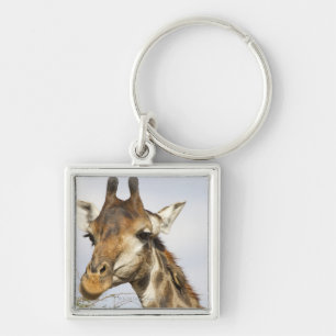 Giraffe, Nationaal Park Kruger, Zuid-Afrika Sleutelhanger