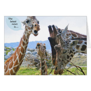 Giraffe News Card