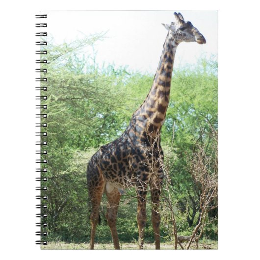 Giraffe notebook notitieboek (Voorkant)