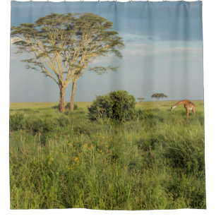 Giraffe op de Serengeti Douchegordijn