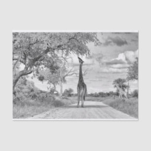 Giraffe op de weg tissuepapier