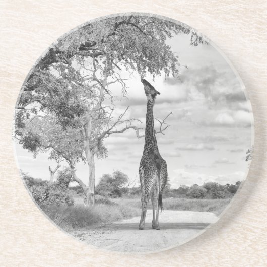 Giraffe op weg zandsteen onderzetter (Voorkant)