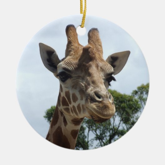 Giraffe Ornament (Voorkant)