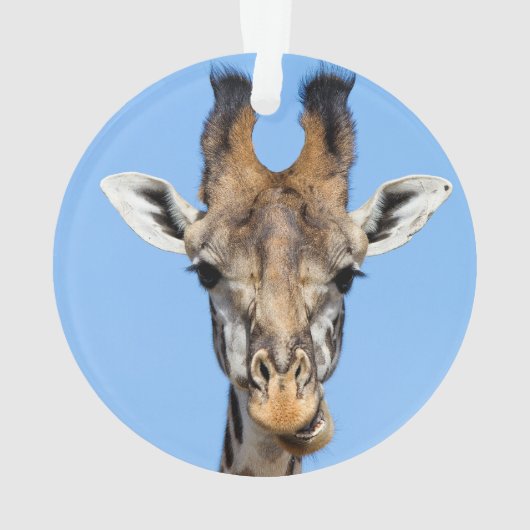 Giraffe Ornament (achterkant)
