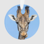 Giraffe Ornament (voorkant)