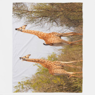 Giraffe Pair Fleece Deken