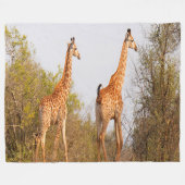 Giraffe Pair Fleece Deken (Voorkant (Horizontaal))
