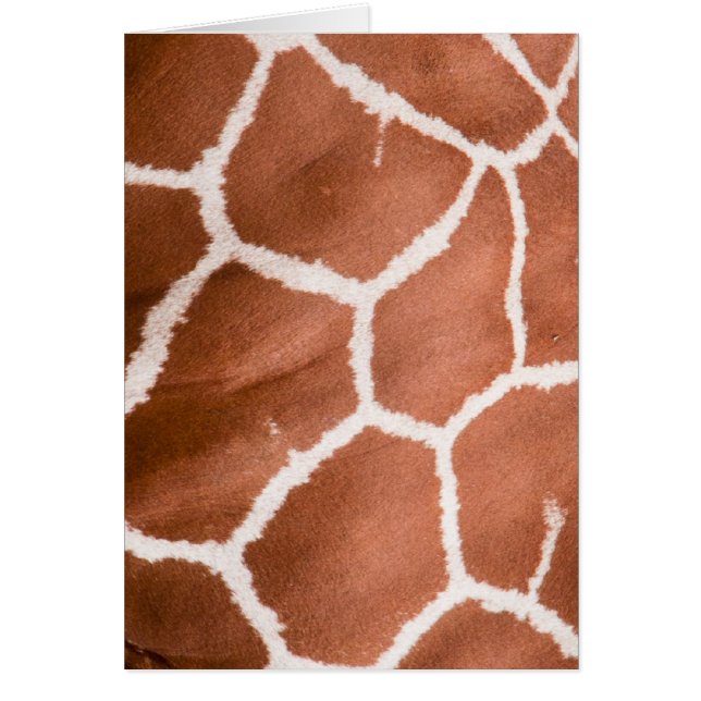 Giraffe patroon (Voorkant)