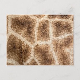 Giraffe patroon briefkaart