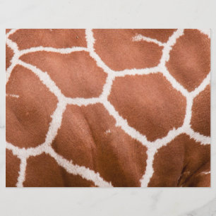 Giraffe patroon flyer