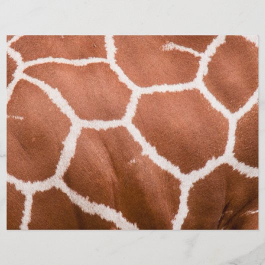 Giraffe patroon flyer (Voorkant)
