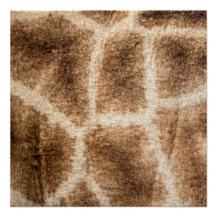 Giraffe patroon perfect poster