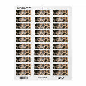 Giraffe Patroon Print Verzendlabel Etiket (Full Sheet)