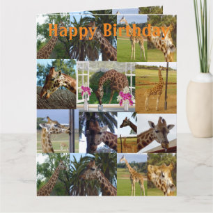 Giraffe Photo Collage, Jumbo Birthday Kaart