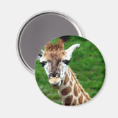 Giraffe Photo Magnet rond (Recto/Verso)
