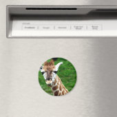 Giraffe Photo Magnet rond (In Situ (Lave-vaisselle))
