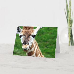 Giraffe Photo Wenskaart Kaart
