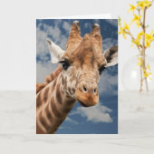 GIRAFFE PHOTOGRAPHIE CARTE D'ANNIVERSAIRE (Fleur jaune)
