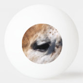 GIRAFFE PINGPONGBALLEN (Achterkant)