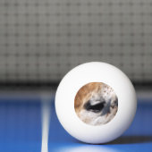 GIRAFFE PINGPONGBALLEN (Net)