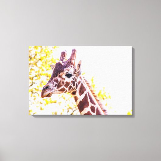 Giraffe Portrait Canvas Afdruk (Voorkant)