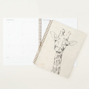 Giraffe Portrait Croquis