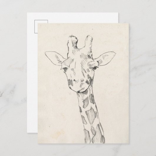 Giraffe Portrait | Schets Briefkaart (Voorkant / Achterkant)