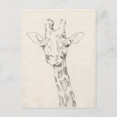 Giraffe Portrait | Schets Briefkaart (Voorkant)