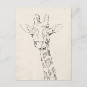 Giraffe Portrait Schets Briefkaart
