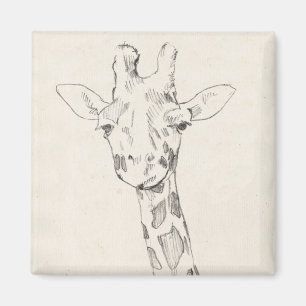 Giraffe Portrait Schets Magneet