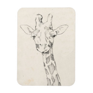 Giraffe Portrait Schets Magneet