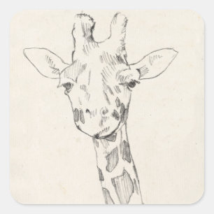 Giraffe Portrait Schets Vierkante Sticker