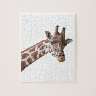 Giraffe Portret Foto op White Legpuzzel