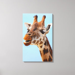Giraffe Portretcanvas print