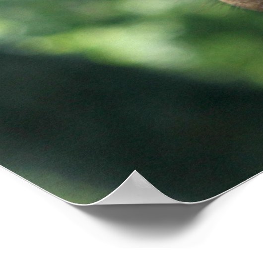 Giraffe Poster (Hoek)