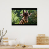 Giraffe Poster (Keuken)