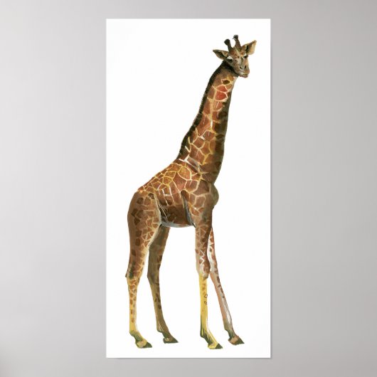Giraffe Poster (Voorkant)