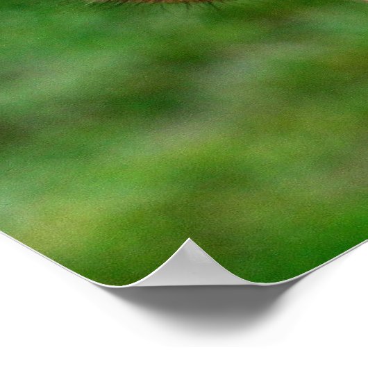 Giraffe Poster afdrukken (Hoek)