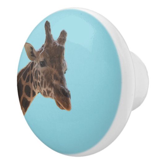 Giraffe pull knob keramische knop (Rechts)