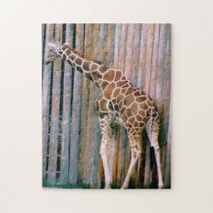 Giraffe puzzel